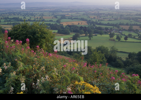 Ein Blick über die hügelige Felder des Severn Valley von Cam lange Down in den Cotswolds Gloucestershire Stockfoto