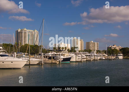 Sarasota Florida Boote bei Marina Buchsen Sarasota Bayfront Skyline Innenstadt Stockfoto