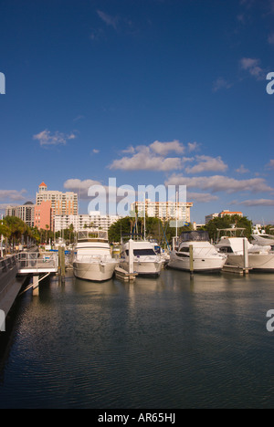 Marina Jack Bayfront Plaza Sarasota Bayfront Park Bucht vor Sarasota Florida FL Fla Süd blauer Himmel Hintergrund bs Sonne s Stadt p Stockfoto