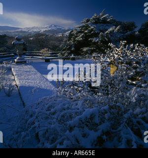 Bodnant Garden Wales im winter Stockfoto