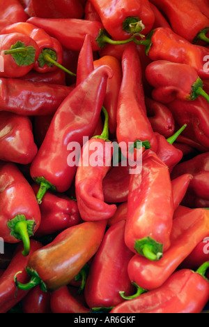Red Chilli frische ganze Closeup Ernährung Teil Nahaufnahmen bis kulinarischen zugeschnittenen farbigen Farbe Farbe Nahrung Stockfoto