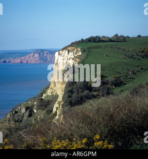 Blick vom Steuermänner Klippe zur Steilküste aus Kreide, rotem Sandstein in Lyme Bay Devon Stockfoto