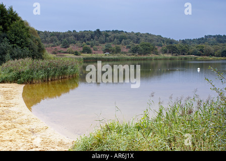 Frensham großen Teich nahe Farnham in Surrey Stockfoto