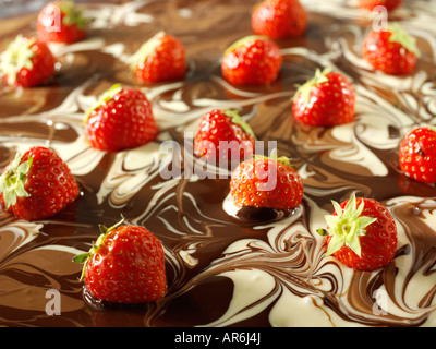 Weiß, unbedruckt und Milch Schokolade marmoriert Swirl mit frischen Erdbeeren Stockfoto