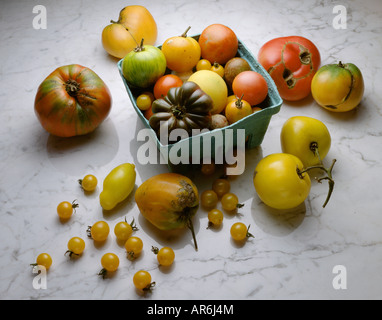 Urtomaten Stockfoto