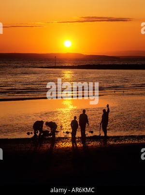 Angler Graben für Wattwürmer am westlichen Ufer, Llandudno, Nordwales Strand. Stockfoto