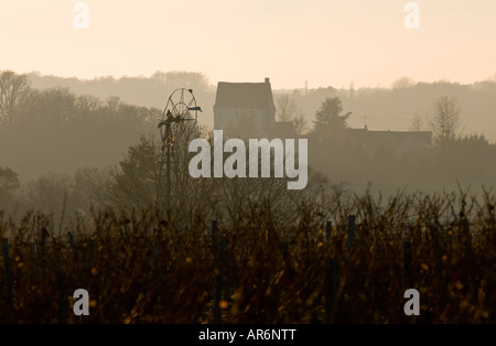 Blick auf Wind Pumpe über Weinberg, Frankreich. Stockfoto