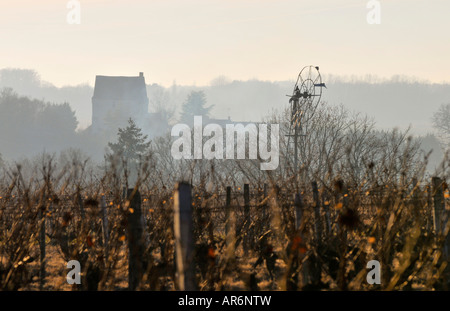 Blick auf Wind Pumpe über Weinberg, Frankreich. Stockfoto