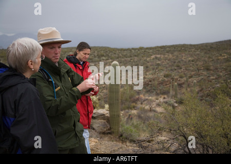 Ranger führt Natur Wandern im Saguaro-Nationalpark Stockfoto