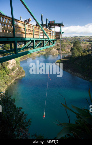 Bungy Jumping Waikato River Taupo Nordinsel Neuseeland Stockfoto