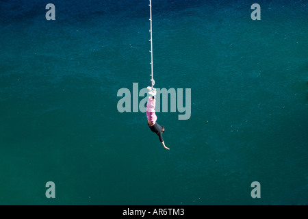 Bungy Jumping Waikato River Taupo Nordinsel Neuseeland Stockfoto