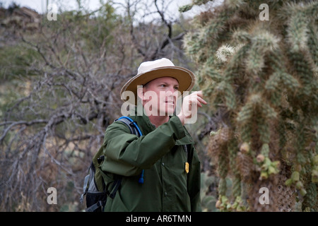 Ranger führt Natur Wandern im Saguaro-Nationalpark Stockfoto