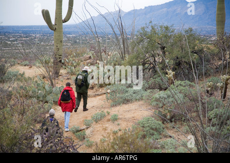 Ranger führt Natur Wandern im Saguaro-Nationalpark Stockfoto