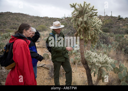 Ranger führt Natur Wandern im Saguaro-Nationalpark Stockfoto