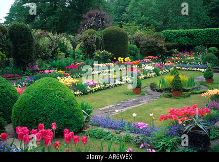 Tulpe-Display in die versunkene Garten im Chenies Manor Stockfoto