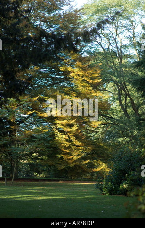 Shropshire Leben im Garten verfügen über 2008 Arley Arboretum Worcestershire Stockfoto