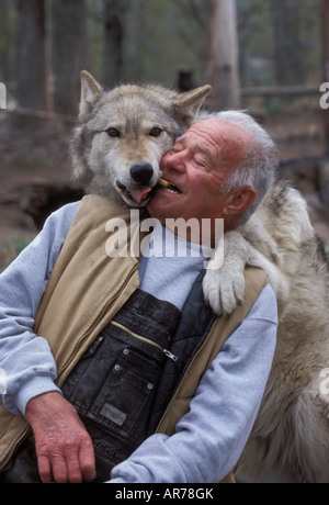 Werner Schuster und seine Wolf Kojak, Wolf Country USA, Palmer, Alaska Stockfoto