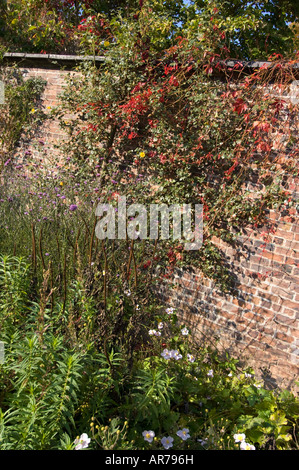 Shropshire Leben im Garten verfügen über 2008 Arley Arboretum Worcestershire Stockfoto