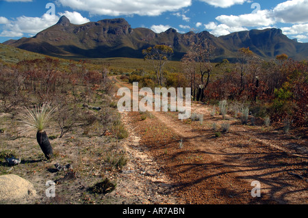 Straße durch kürzlich verbrannte Fläche der Stirling Range Nationalpark, Western Australia Stockfoto