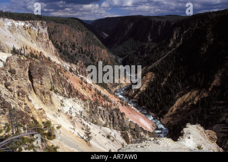 Canyon in Wyoming Yellowstone-Nationalpark Stockfoto