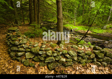 Einer alten Steinmauer neben Muschopauge Brook in Holden, Massachusetts. Worcester County. Stockfoto