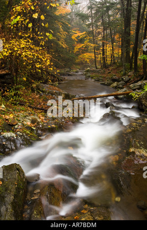 Sanderson Bach fällt. Chester-stiegen Staatswald. Connecticut River Nebenfluss. Chester, Massachusetts. Stockfoto