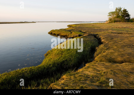 Salzwiesen im Frühjahr. Strawberry Hill Preserve in Ipswich, Massachusetts. Eagle Hill River. Gezeiten-Fluss. Stockfoto