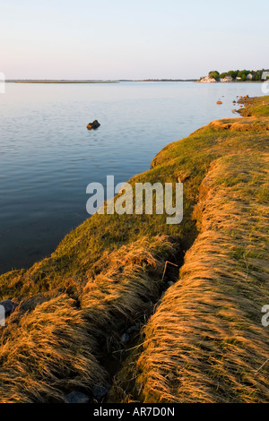 Salzwiesen im Frühjahr. Strawberry Hill Preserve in Ipswich, Massachusetts. Eagle Hill River. Stockfoto