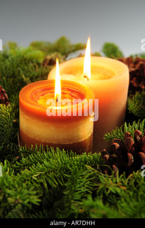 Weihnachtsarrangement von brennenden Kerzen und grüne Fichte Zweige Stockfoto