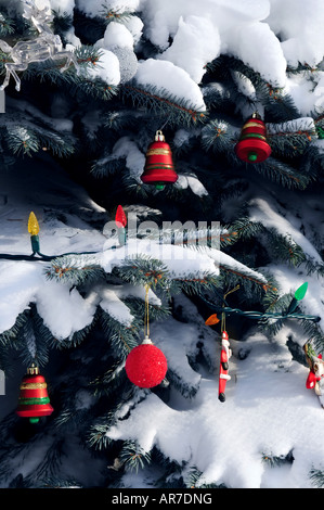 Weihnachtsschmuck hängen Schnee bedeckt Fichte außerhalb Stockfoto