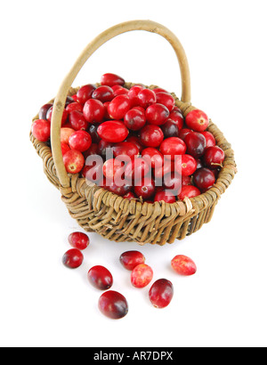 Frische rote Cranberries in Korb auf weißem Hintergrund Stockfoto