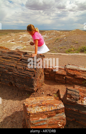 USA Arizona AZ Nation Park versteinerte Gesamtstruktur A Mädchen 11 Studien einen Abschnitt eines versteinerten Protokolls auf den Giant Logs-Prozeß Stockfoto