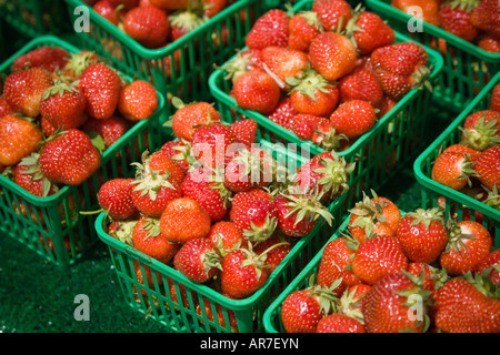 Frische Erdbeeren Stockfoto
