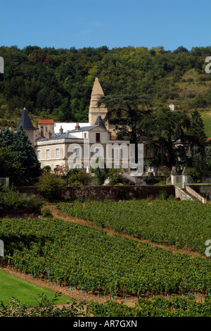 Weingut St. Aubin im Cote du Beaune Region Frankreichs Stockfoto