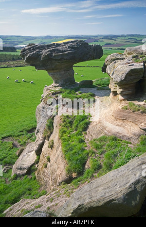 Erodierte Sandstein-Felsformation Volksmund der Motorhaube Stein liegt am Fuße des Hügels West Lomond, Fife, Schottland Stockfoto