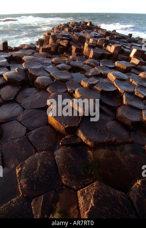 Nahaufnahme von hexagonal geformten Basaltsäulen an der Giant es Causeway, County Antrim, Nordirland Stockfoto