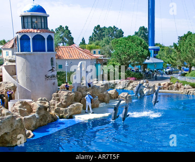 Flasche nosed Delphine Ausstellung bei Sea World Adventure Park San Diego Kalifornien USA Stockfoto