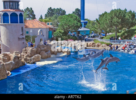 Flasche nosed Delphine Ausstellung bei Sea World Adventure Park San Diego Kalifornien USA Stockfoto