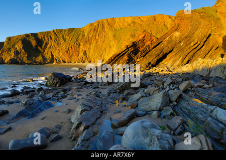 Hartland Quay an der Heritage Coast North Devon, England. Stockfoto