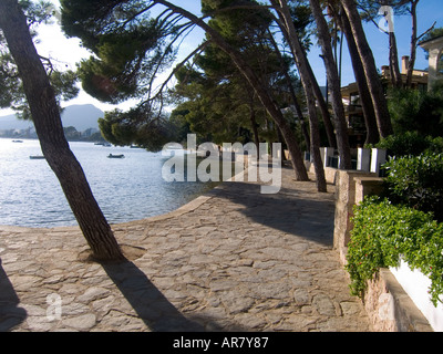 Die Pinewalk bei Puerto Pollensa Stockfoto