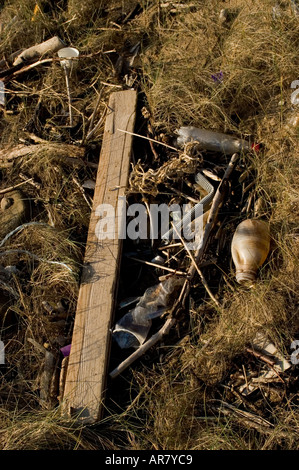 Treibholz am Strand Stockfoto