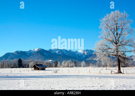 Winterlandschaft mit Brauneck und Benediktenwand Mountainrange in der Nähe von Lenggries Bayern Deutschland Europa Stockfoto