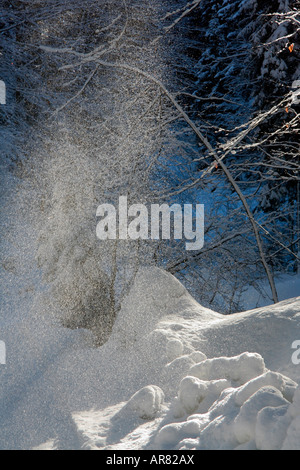 leise fallenden Schnee von den Bäumen Steinbachtal in der Nähe von Lenggries Bayern Deutschland Europa Stockfoto