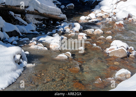 Trittsteine in einem verschneiten fließenden Fluss im Winter Steinbachtal in der Nähe von Lenggries Bayern Deutschland Europa Stockfoto