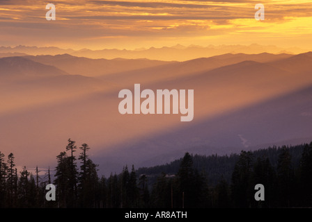 Sonnenuntergang über den Sacramento River Valley von Panther Wiese, Mount Shasta, Shasta Trinity National Forest, Kalifornien, USA Stockfoto