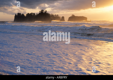 Pazifik-Küste in der Nähe von La Push und Rialto Strand, Olympic Nationalpark, WA Stockfoto