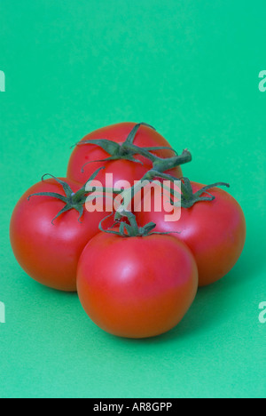 Hydroponisch angebaute, von der Rebe gereifte Truss-Tomaten auf nahtlosem farbigem Hintergrund Stockfoto