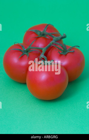 Hydroponisch angebaute, von der Rebe gereifte Truss-Tomaten auf nahtlosem farbigem Hintergrund Stockfoto