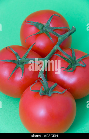 Hydroponisch angebaute, von der Rebe gereifte Truss-Tomaten auf nahtlosem farbigem Hintergrund Stockfoto