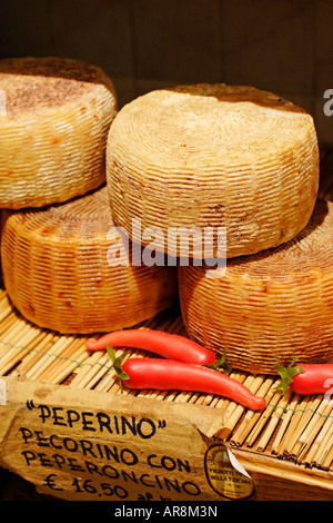 Italienischen Pecorino Romano Käse, Italien Stockfoto